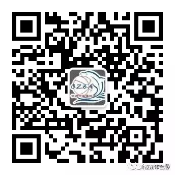 为什么一些职业球员罚球命中率不高?_1